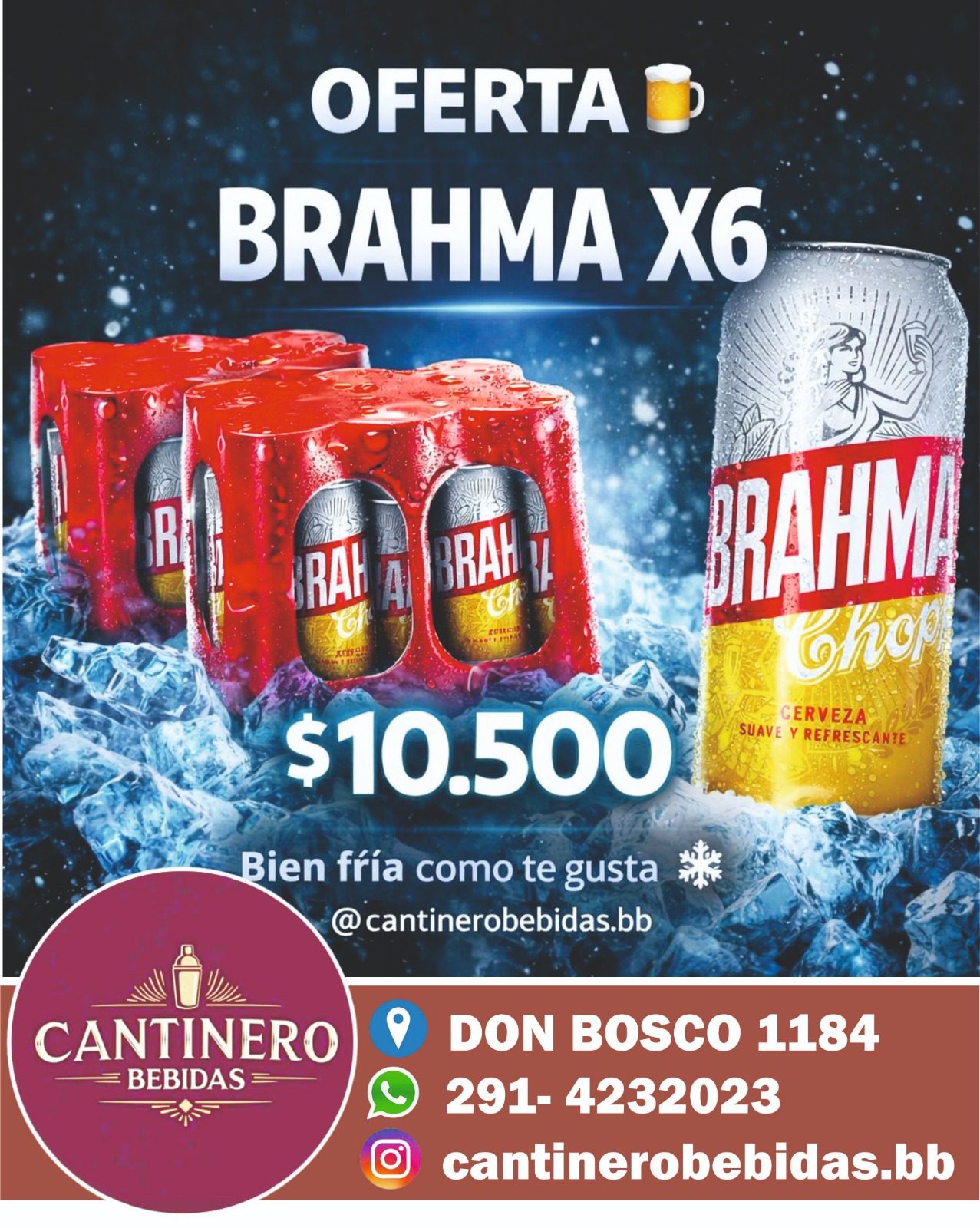 6 Pack de Brahma