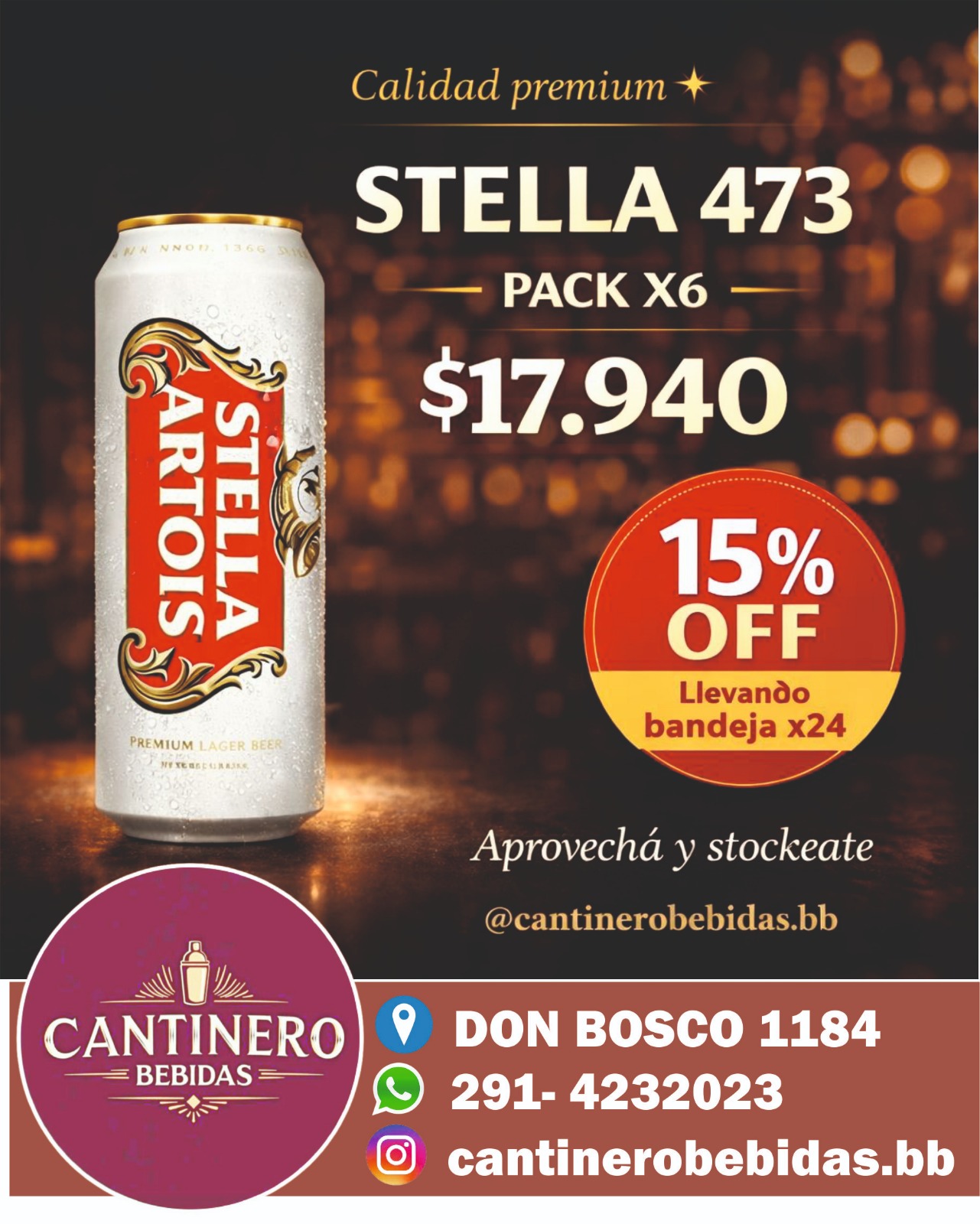 6 Pack de Stella Artois