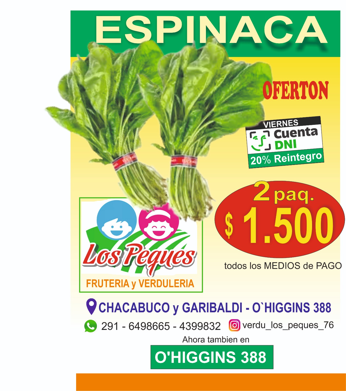 ESPINACA 