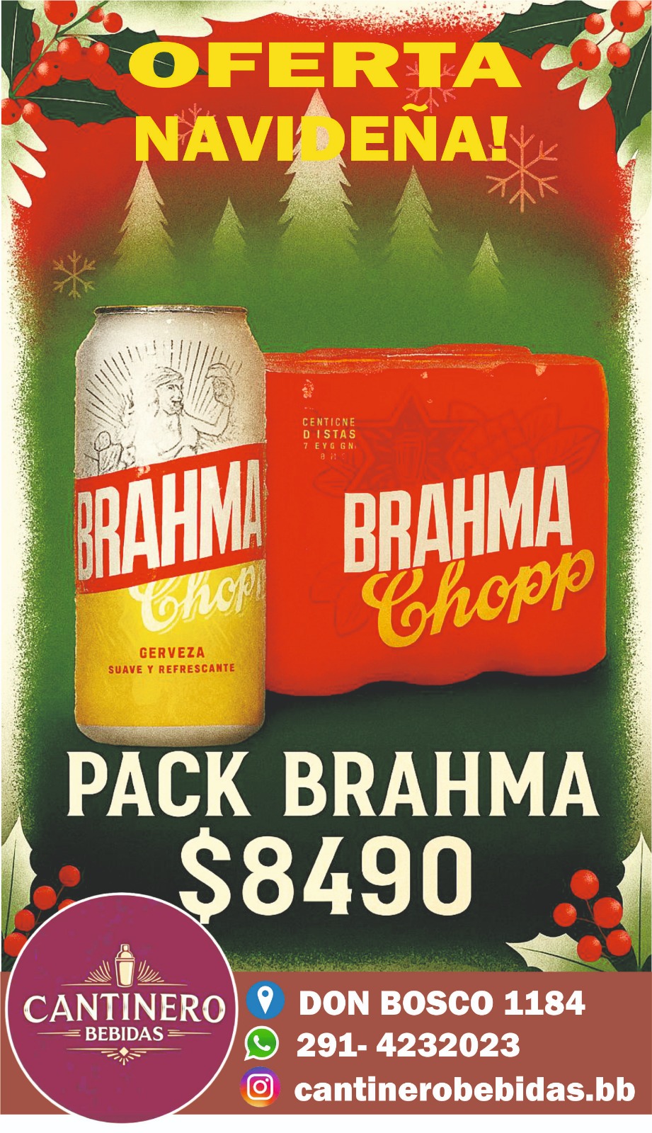 Six Pack de Brahma