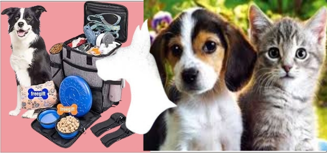 Mascotas